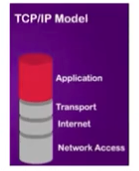 TCP Model